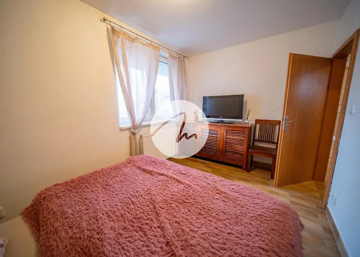 Nivy Con Posto Auto 布拉迪斯拉发